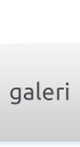 Galeri